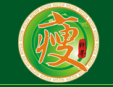 纤寻瘦身加盟