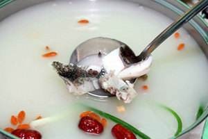 马仔斑鱼
