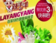 辣洋洋砂锅麻辣烫加盟
