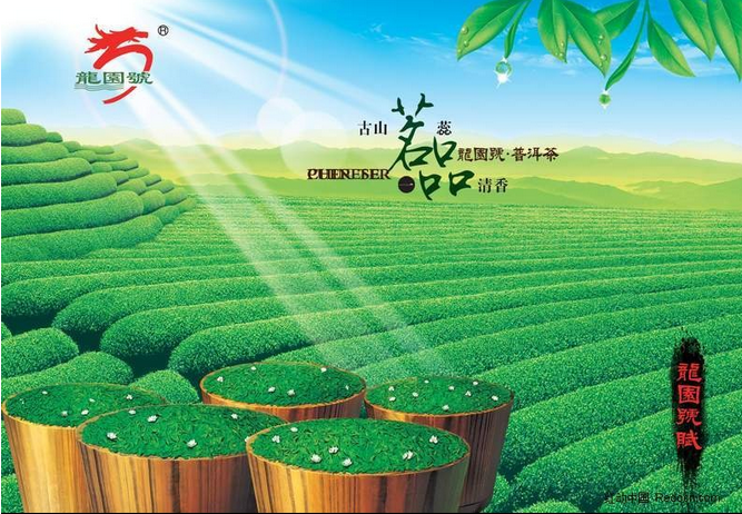 龙园号茶馆加盟