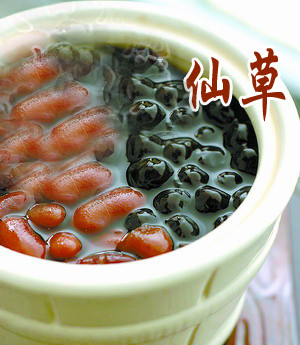 芬格仙草加盟