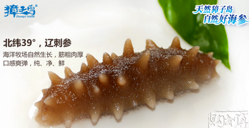 獐子岛加盟条件