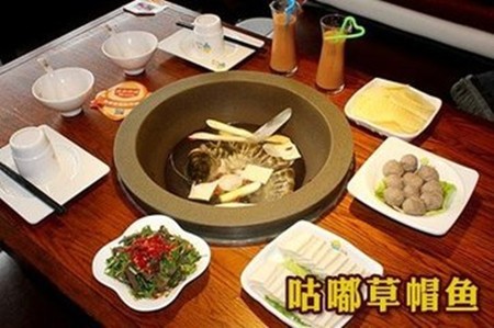 咕嘟草帽鱼