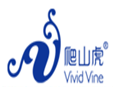 爬山虎加盟