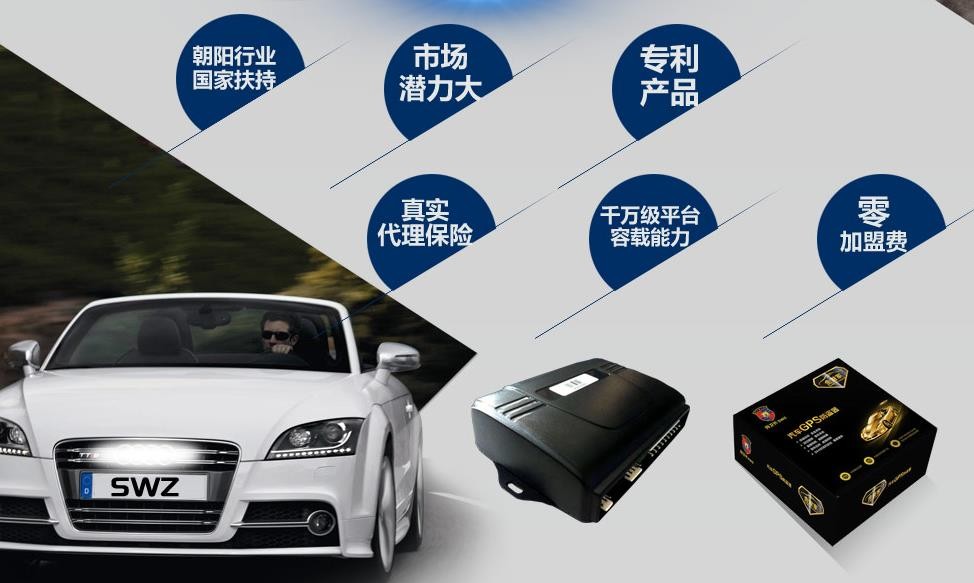 侍卫长车联网安全服务