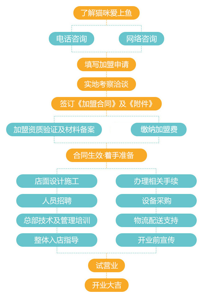 猫咪爱上鱼加盟流程 猫咪爱上鱼加盟流程