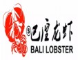 巴厘龙虾加盟