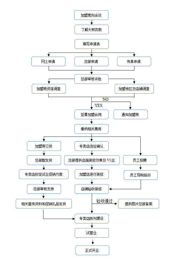 大树优教