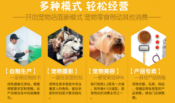 寻宠记宠物食品