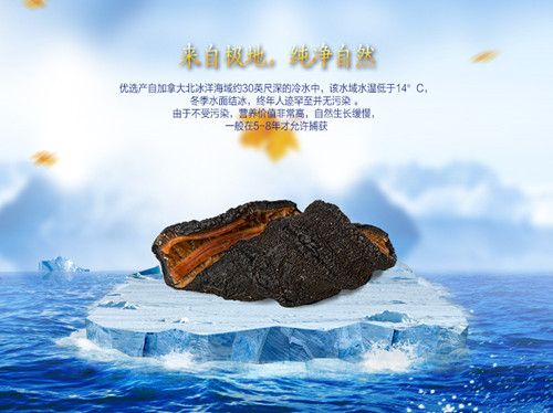 北极参加盟