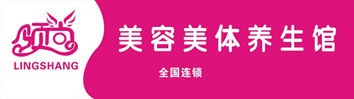 领尚美容