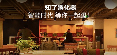 黑知了
