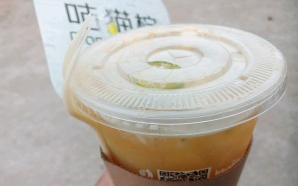 咕猫柠奶茶加盟