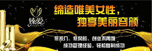 臻爱国际
