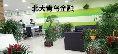 北大青鸟金融