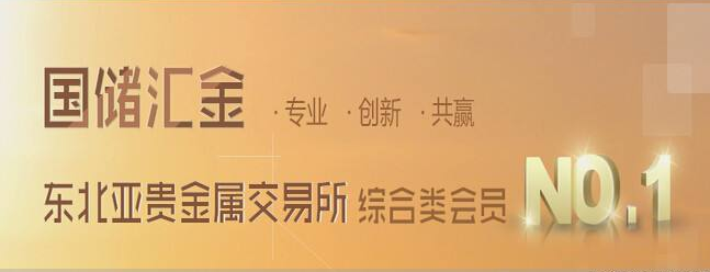 国储汇金加盟