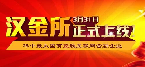 汉金所投资