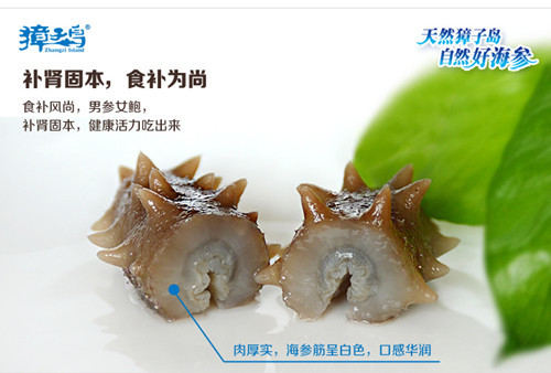 獐子岛海参加盟