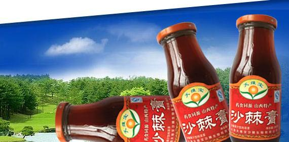 天维宝沙棘汁加盟