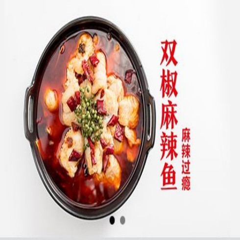 炉渔宫私房酸菜鱼加盟