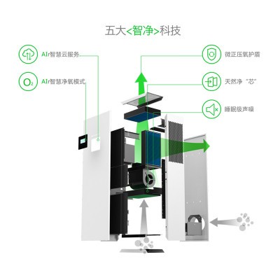 核桃净然