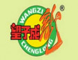 望子成龙童装加盟