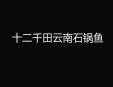十二千田云南石锅鱼加盟