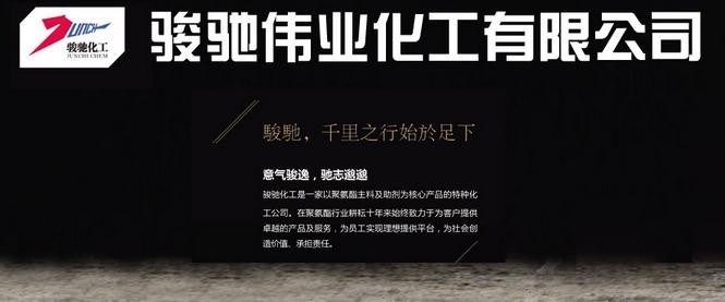 骏驰伟业
