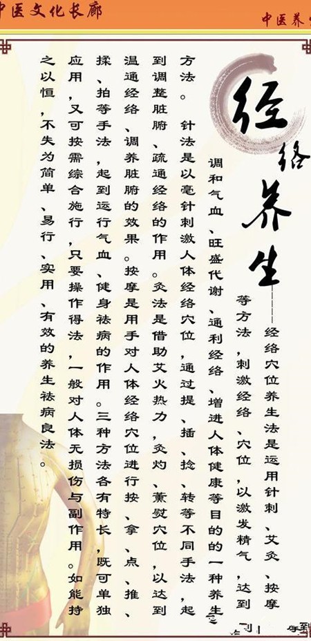天雀养生