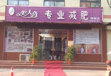 美人鱼减肥