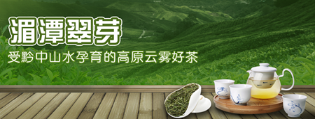 贵州茶资源