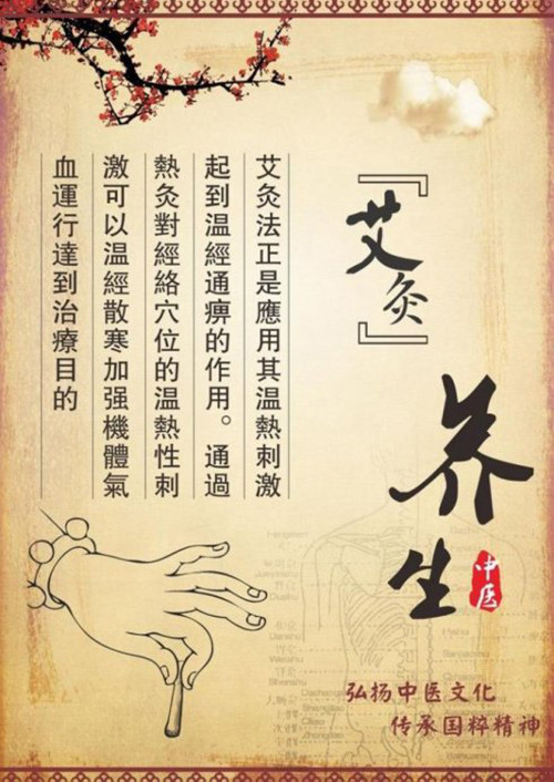 艾和艾灸养生馆