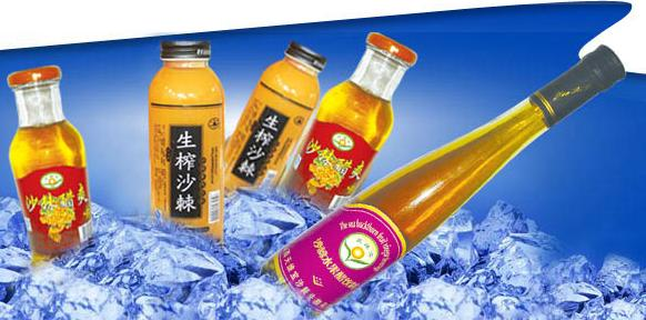 天维宝沙棘汁加盟