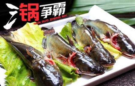 三锅争霸火锅