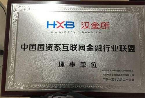 汉金所投资