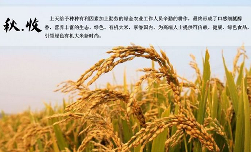稻谷留香加盟费