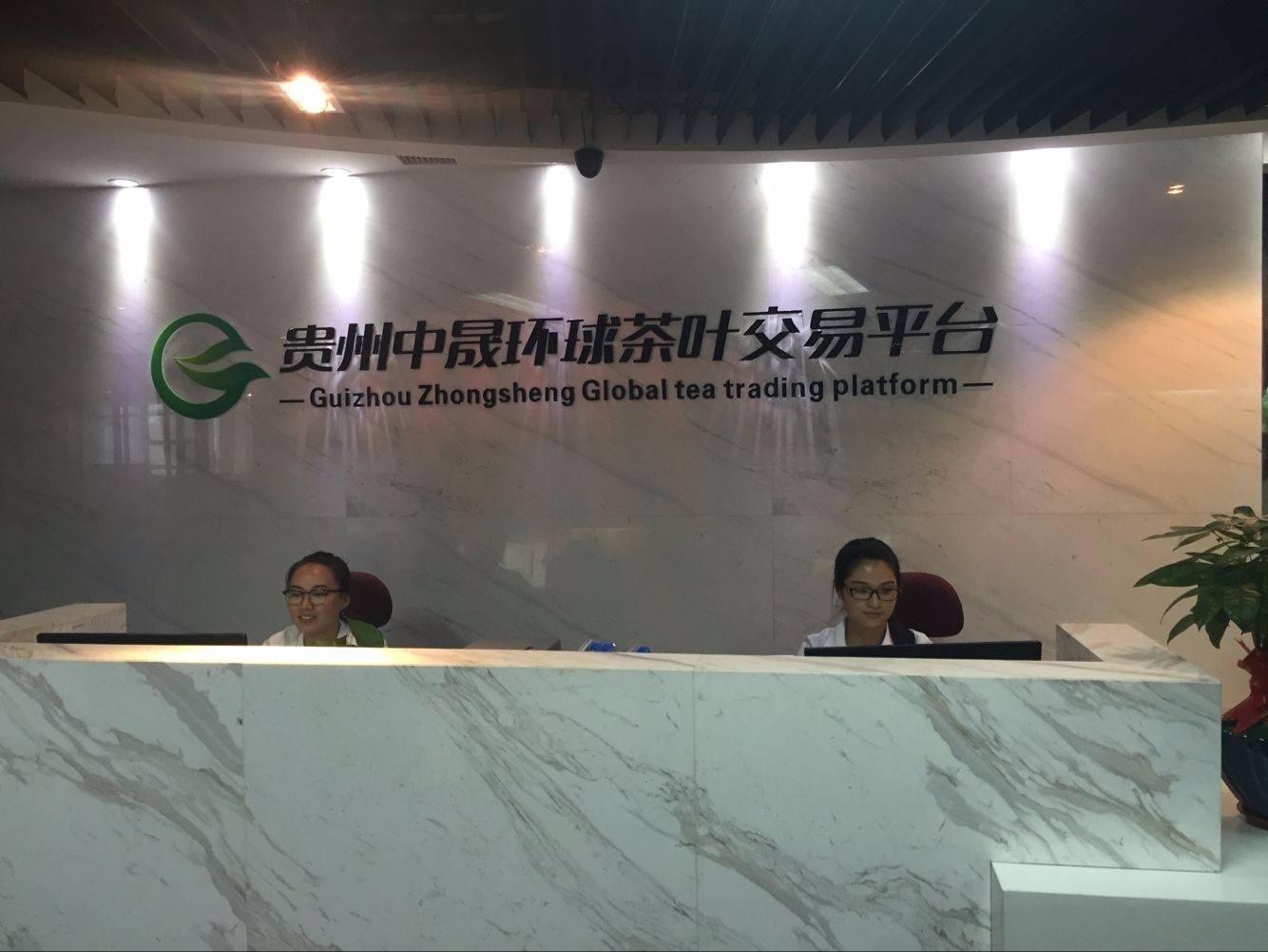 中晟环球金融