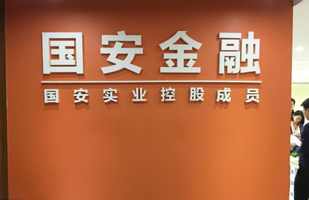 国安金融