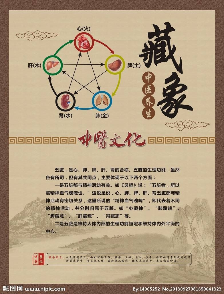 藏象养生