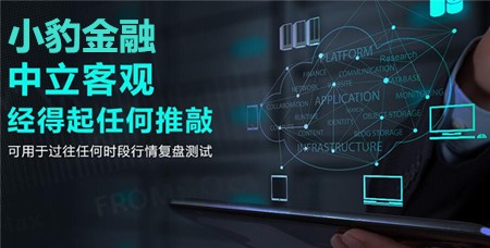 小豹金融