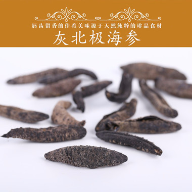 北极参加盟