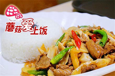 蘑菇爱上饭加盟