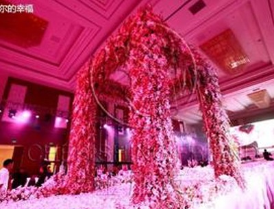 金伴婚庆