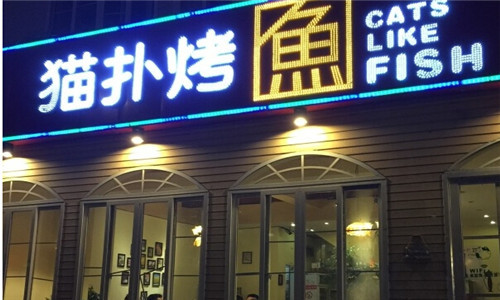 猫扑烤鱼加盟