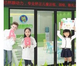 已然眼动力