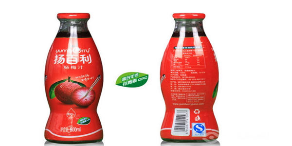 扬百利果汁加盟