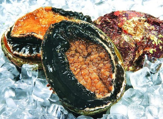 福临德豆捞加盟