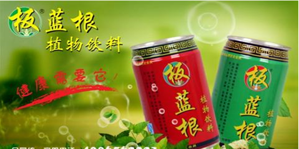 板蓝根凉茶加盟