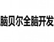 脑贝尔全脑开发加盟