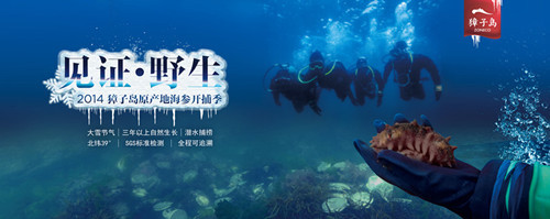 獐子岛海参加盟